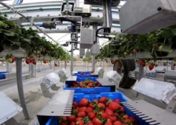 Agricultura automatizada y cómo los robots se abren camino en el campo