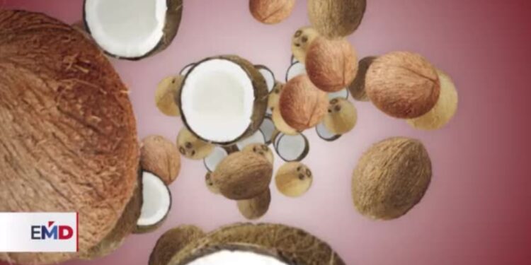 Abundan en redes sociales las mofas a candidatos a la Casa Blanca