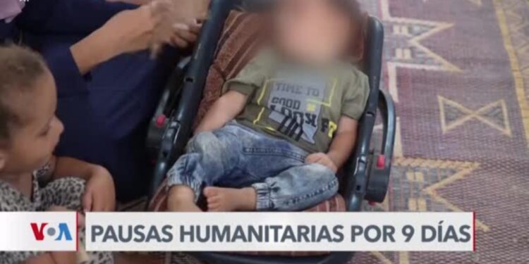 Israel y Hamás aceptan pausa humanitaria