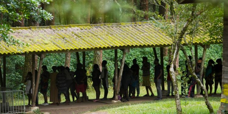 Panamá inicia operación judicial y policial contra grupos dedicados al tráfico de migrantes chinos