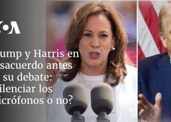 ¿Silenciar los micrófonos o no?