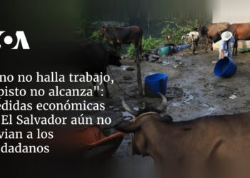 Medidas económicas fallan en aliviar la falta de empleo y el costo de vida