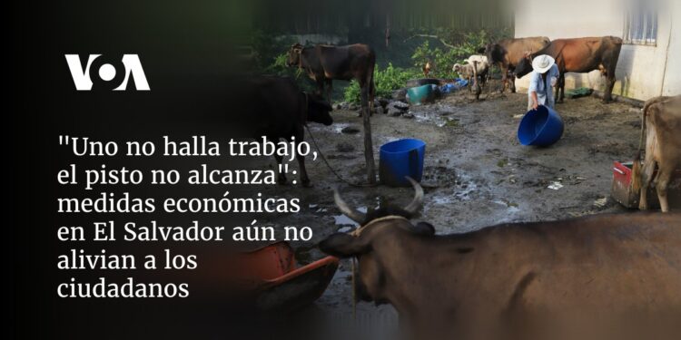 Medidas económicas fallan en aliviar la falta de empleo y el costo de vida