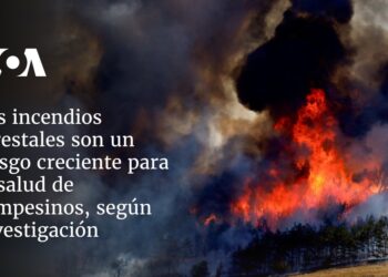 Los incendios forestales son un riesgo creciente para la salud de campesinos, según investigación