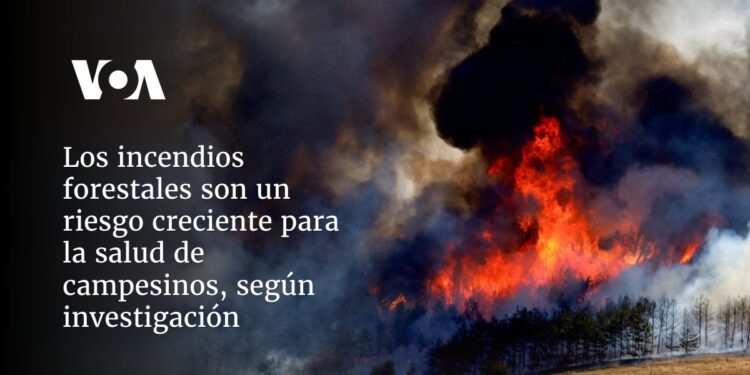 Los incendios forestales son un riesgo creciente para la salud de campesinos, según investigación