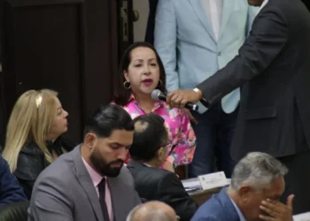 Diputada Vega: Más de 10 mil personas han participado en Consulta Pública de Ley contra el Fascismo