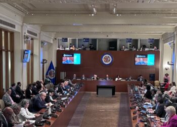 La CIDH informa en el Consejo de Seguridad de la OEA sobre el aumento de represión en Venezuela