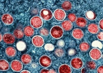 La agencia de salud pública europea prevé más casos importados de la nueva cepa de viruela símica