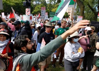 Excluidos por el Comité Nacional Demócrata, los miembros pro-palestinos siguen viendo avances