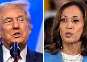 Una encuesta muestra una pequeña diferencia a favor de la vicepresidenta Harris sobre el expresidente Trump