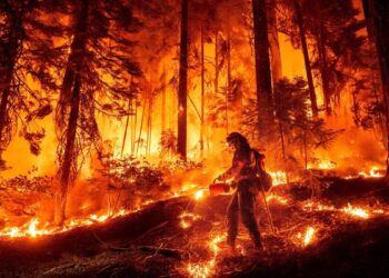 Los bomberos avanzan en control de cuarto incendio forestal más grande registrado en California