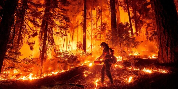 Los bomberos avanzan en control de cuarto incendio forestal más grande registrado en California