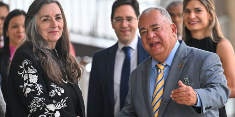 jefa de misión del Centro Carter