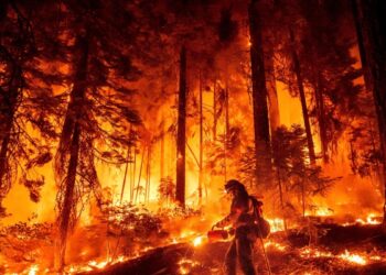 Un enorme incendio sigue avanzando en California debido al clima seco y cálido