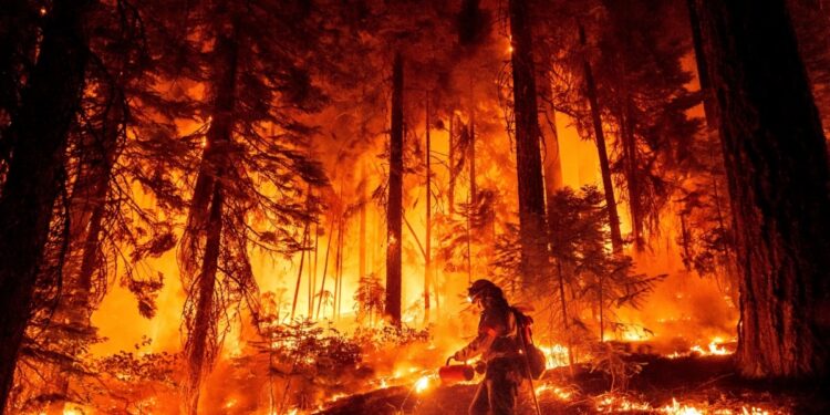 Un enorme incendio sigue avanzando en California debido al clima seco y cálido