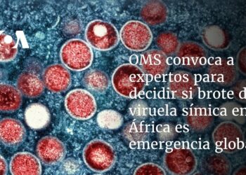 OMS convoca a expertos para decidir si brote de viruela símica en África es emergencia global
