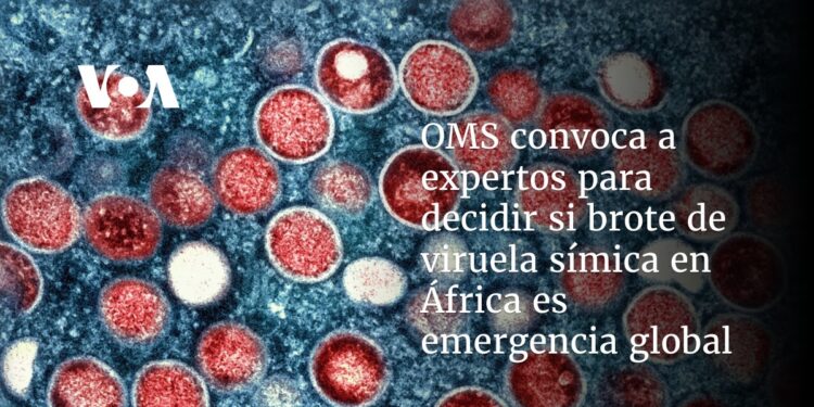 OMS convoca a expertos para decidir si brote de viruela símica en África es emergencia global