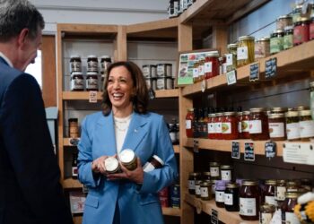 Kamala Harris presenta propuestas populistas en su primer discurso económico