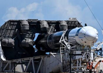 EEUU AL DIA | 08/28/2024