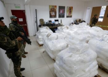 Los guardacostas griegos incautan un millón de dólares en cocaína oculta en un cargamento de plátanos