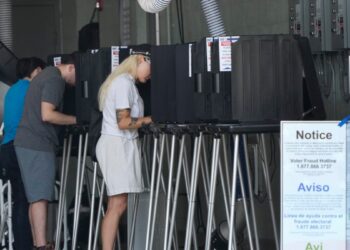 Medidas en boletas de 41 estados dan voz a votantes sobre aborto y otros asuntos difíciles en EEUU