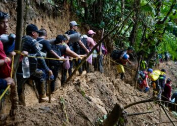 La migración venezolana no se ha disparado a pesar de la crisis electoral, según plataforma R4V