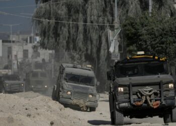 Ante el llamado de la ONU de un cese al fuego en Gaza para vacunación contra la poliomielitis, Israel y Hamás aceptaron pausas humanitarias.