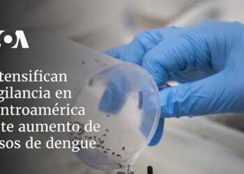 Intensifican vigilancia en Centroamérica ante aumento de casos de dengue