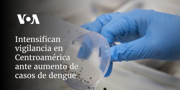 Intensifican vigilancia en Centroamérica ante aumento de casos de dengue
