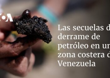 Las secuelas del derrame de petróleo en una zona costera de Venezuela
