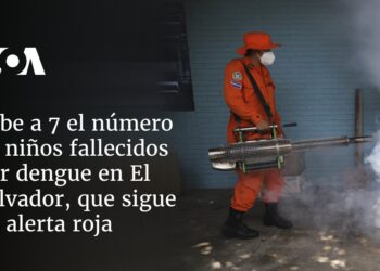 Sube a 7 el número de niños fallecidos por dengue en El Salvador, que sigue en alerta roja