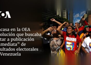 Fracasa resolución OEA que instaba a publicación “inmediata” de actas resultados en Venezuela