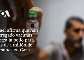 Israel afirma que han entregado vacunas contra la polio para más de 1 millón de personas en Gaza