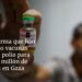 Israel afirma que han entregado vacunas contra la polio para más de 1 millón de personas en Gaza