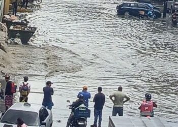 Fuertes lluvias causaron inundaciones y caída de árboles en la Gran Caracas