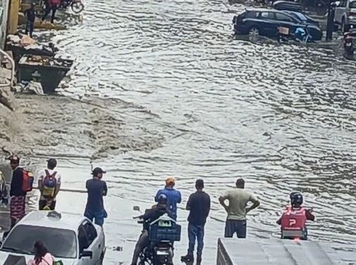 Fuertes lluvias causaron inundaciones y caída de árboles en la Gran Caracas