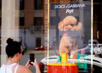 Dolce & Gabbana lanza perfume para perros, pero algunos veterinarios se muestran escépticos