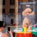 Dolce & Gabbana lanza perfume para perros, pero algunos veterinarios se muestran escépticos