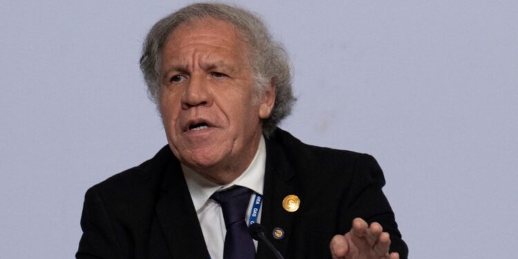 OEA condena citación del Ministerio Público a Edmundo González: No ofrece garantías