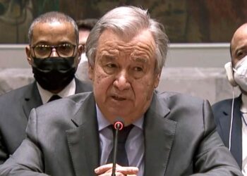 ONU exige total transparencia al régimen de Maduro tras polémico fallo del TSJ