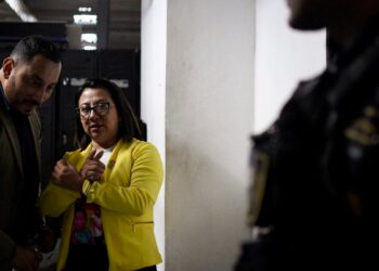 denuncian estructura de corrupción por millonaria evasión de impuestos