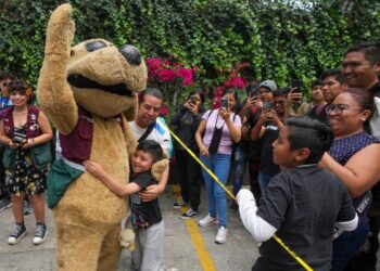 Este es Wisin, el «perrito luchador» de México que se ha vuelto en fenómeno viral
