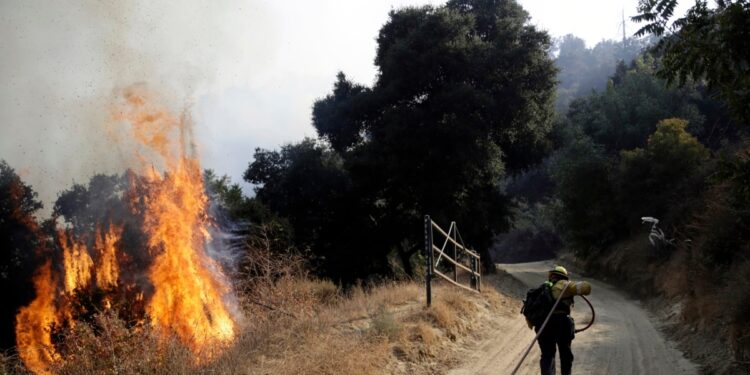 EEUU AL DIA | 08/20/2024