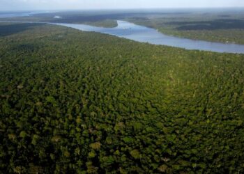 Bolivia y Brasil coordinan plan para sofocar incendios forestales en la Amazonia