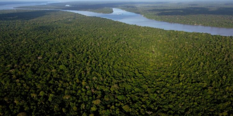 Bolivia y Brasil coordinan plan para sofocar incendios forestales en la Amazonia