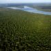 Bolivia y Brasil coordinan plan para sofocar incendios forestales en la Amazonia
