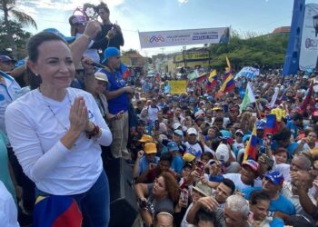 No nos van a robar la voluntad