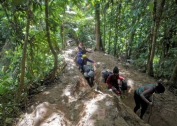 Panamá desmantela ruta VIP de migrantes chinos en la selva del Darién
