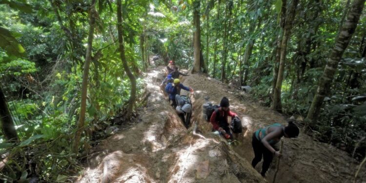 Panamá desmantela ruta VIP de migrantes chinos en la selva del Darién
