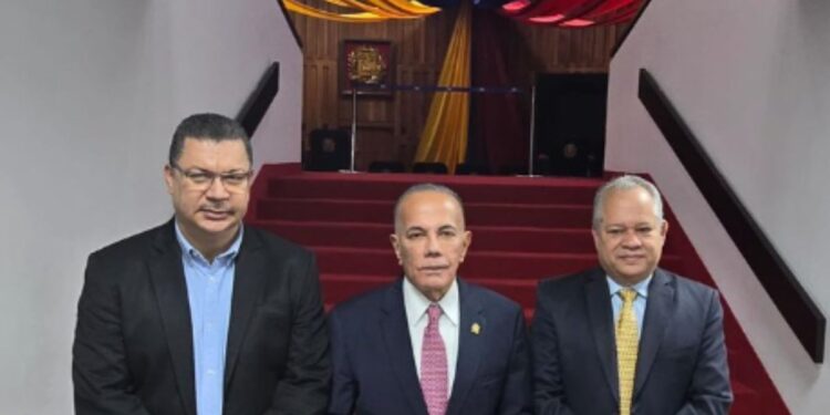 Partidos ratifican ante el Tribunal que se publiquen las actas y se respete el voto